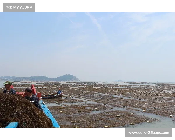 动态需求响应机制正取代固定流程 实现服务精准滴灌